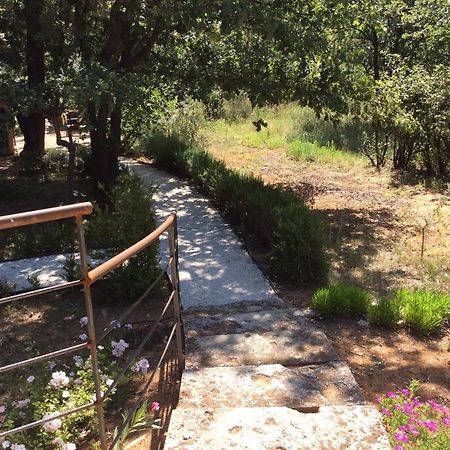 Le Bois De La Cour Roussillon (Vaucluse) Exterior foto